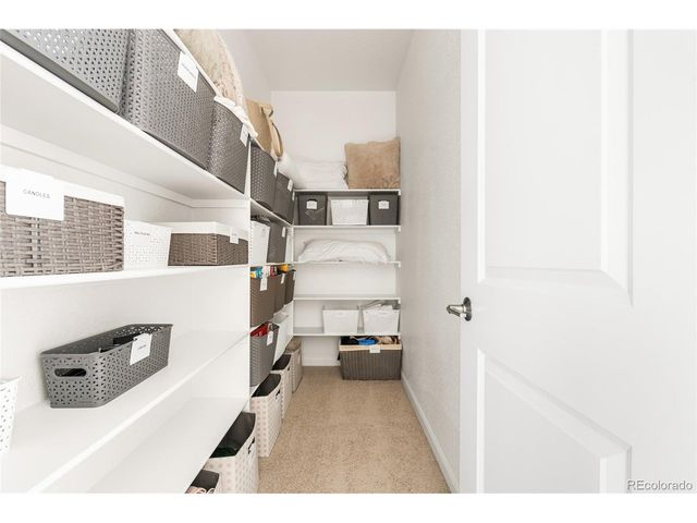 3350 Backdrop Ct, Castle Rock, CO 80108