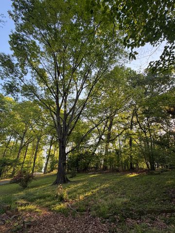 6504 Oak Drive, Harrison, TN 37341