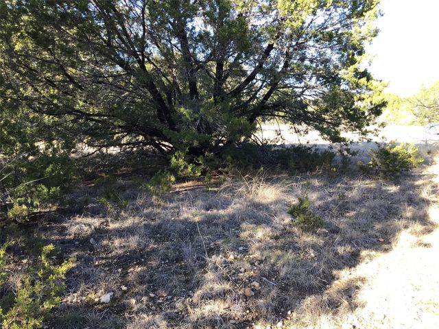 43093 Indian Blanket Drive, Whitney, TX 76692