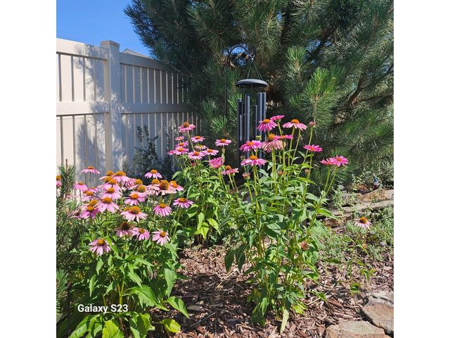 5606 Tumbleweed Ave, Firestone, CO 80504