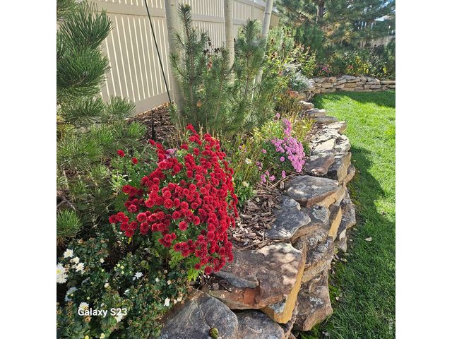 5606 Tumbleweed Ave, Firestone, CO 80504