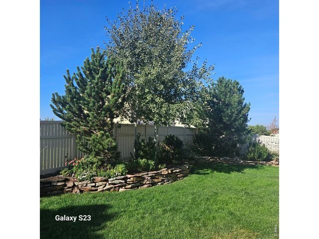 5606 Tumbleweed Ave, Firestone, CO 80504