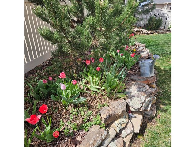 5606 Tumbleweed Ave, Firestone, CO 80504