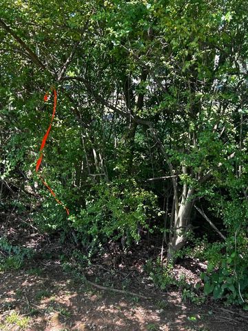 573 S Judd Road, Decatur, TN 37322
