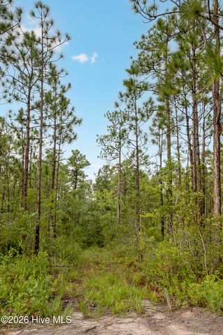 Tract 2 Hwy 17 Off, Hampstead, NC 28443