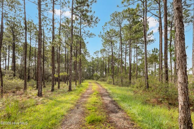 Tract 2 Hwy 17 Off, Hampstead, NC 28443