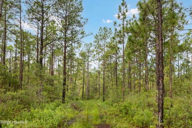 Tract 2 Hwy 17 Off, Hampstead, NC 28443