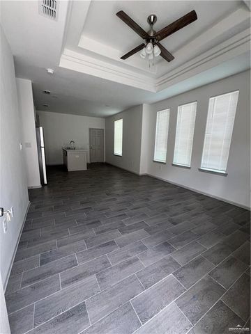 439 Medina Lane, Alamo, TX 78516