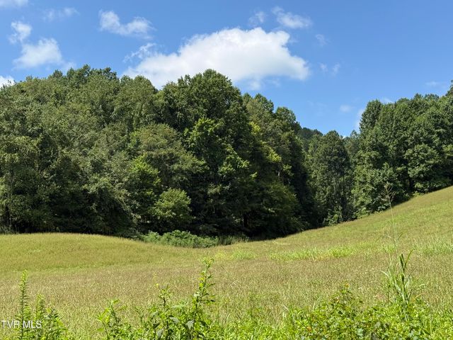 000 Long Hollow Road, Nickelsville, VA 24271
