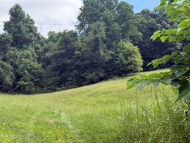 000 Long Hollow Road, Nickelsville, VA 24271