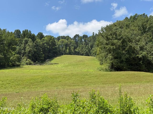 000 Long Hollow Road, Nickelsville, VA 24271