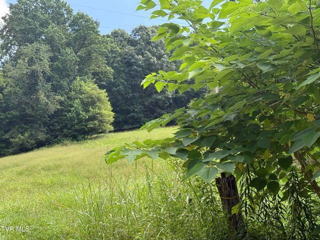 000 Long Hollow Road, Nickelsville, VA 24271