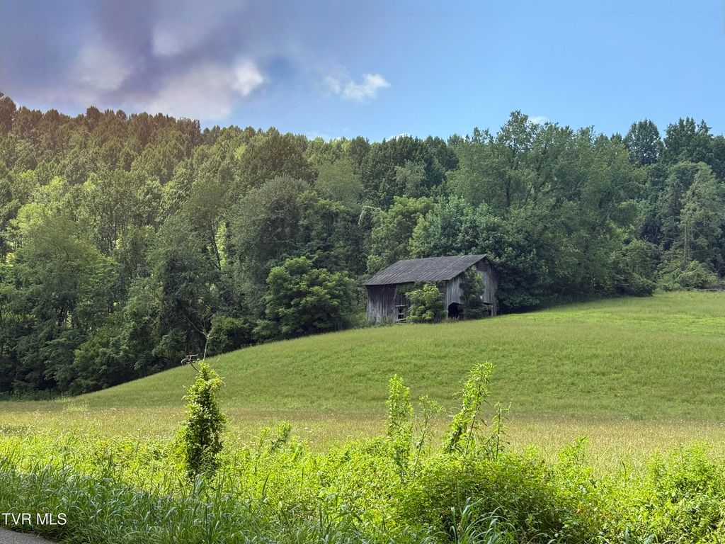 000 Long Hollow Road, Nickelsville, VA 24271
