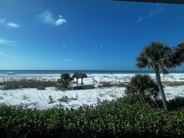 1013 W PEPPERTREE DRIVE 115, Sarasota, FL 34242