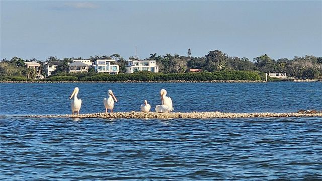 1013 W PEPPERTREE DRIVE 115, Sarasota, FL 34242