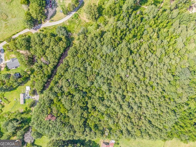0 Richard Pullen Road, Cedartown, GA 30125