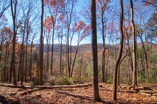 Lot 5 Clay's Way, Blue Ridge, GA 30513