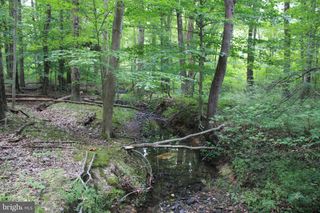 CONOWINGO RD, Darlington, MD 21034