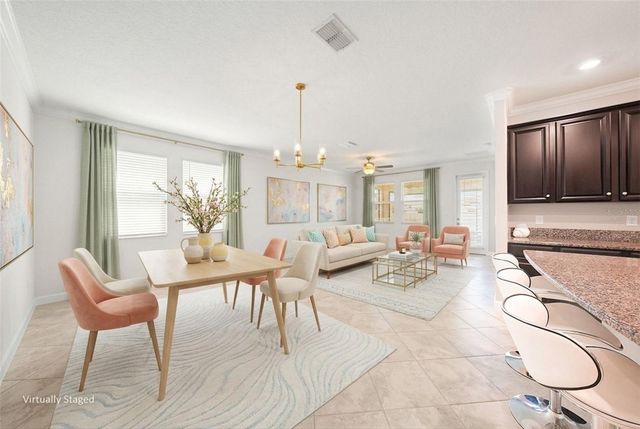 10641 BAHAMA WOODSTAR COURT, Riverview, FL 33579