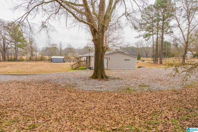 3875 BLUE SPRINGS ROAD, Wilsonville, AL 35186