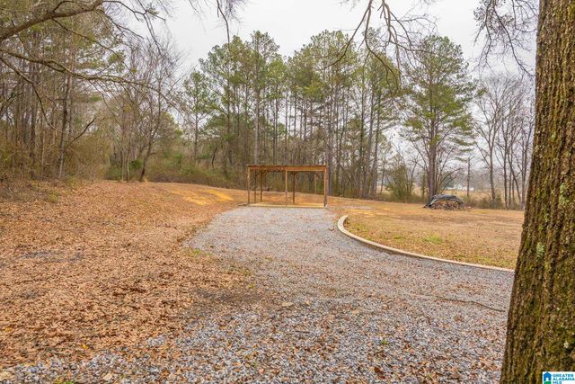 3875 BLUE SPRINGS ROAD, Wilsonville, AL 35186