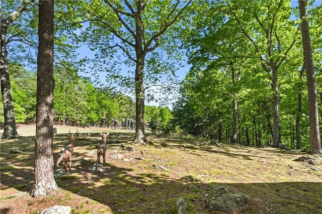114 Cherokee Drive S, Waleska, GA 30183
