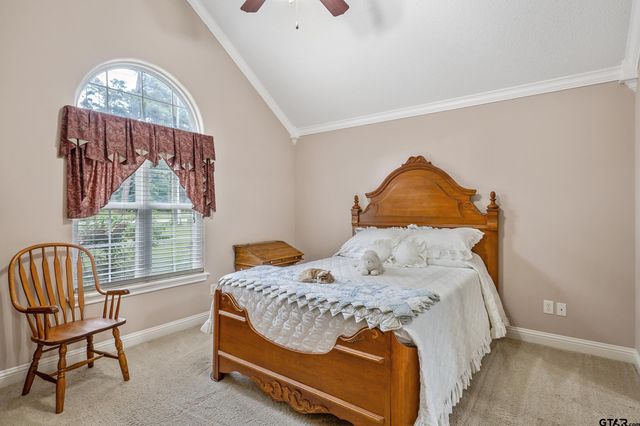 608 Green Meadown Trail, Holly Lake Ranch, TX 75765