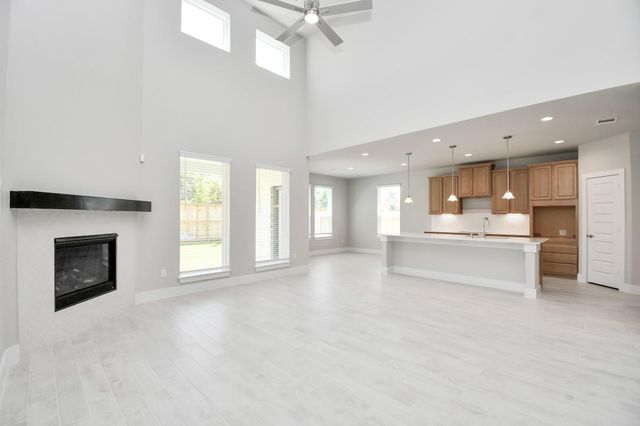 2113 Corn Thistle Way, Magnolia, TX 77355