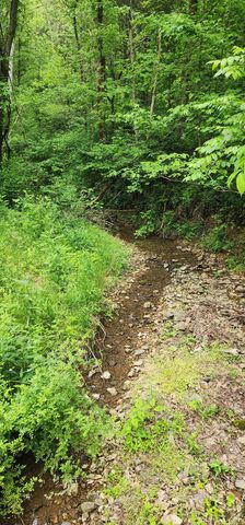 8350 Old Mill Hill Rd, Dowelltown, TN 37059