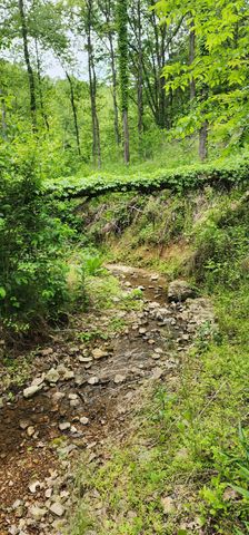 8350 Old Mill Hill Rd, Dowelltown, TN 37059