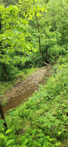 8350 Old Mill Hill Rd, Dowelltown, TN 37059