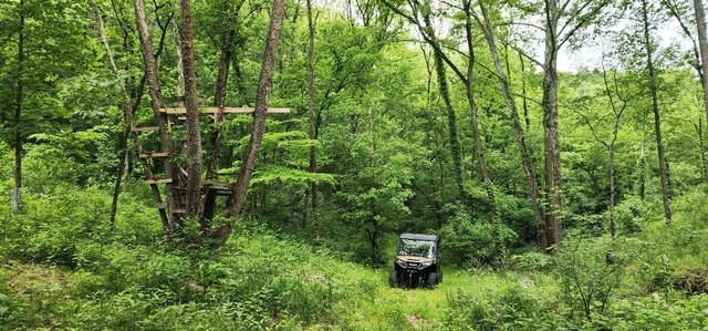 8350 Old Mill Hill Rd, Dowelltown, TN 37059