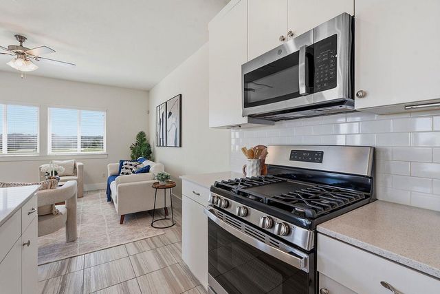 419 White Steppe WAY 58, Georgetown, TX 78626