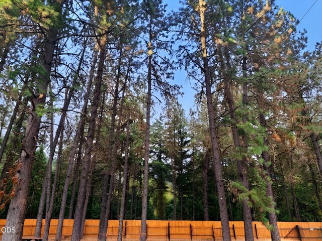 1760 Placer Road, Wolf Creek, OR 97497