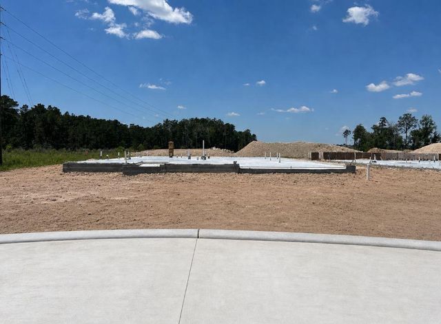 23130 Baldy Ridge Court, Porter, TX 77365