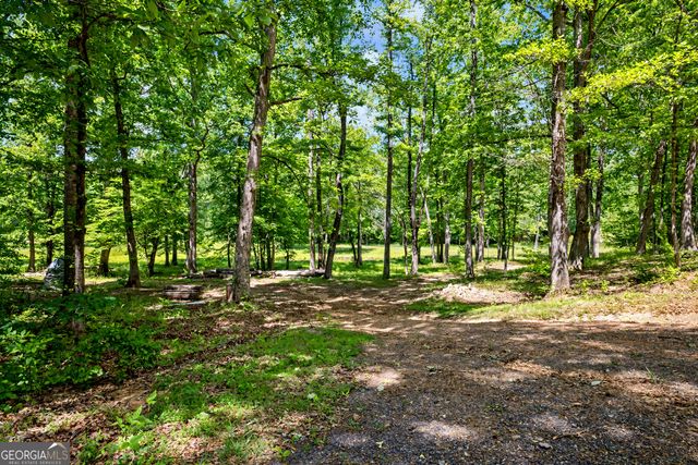 235 Buckeye Farms Drive, Moreland, GA 30259