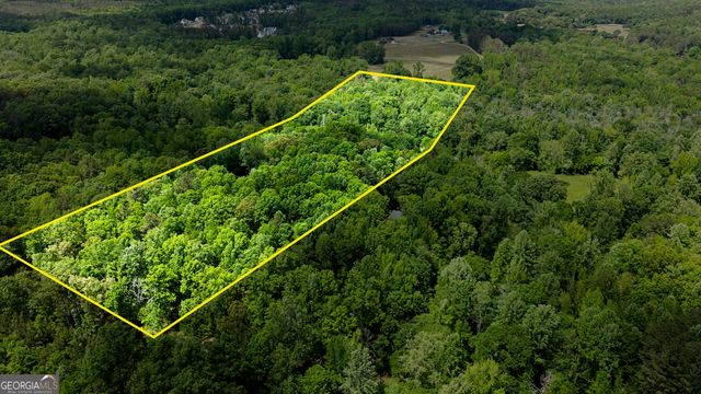 235 Buckeye Farms Drive, Moreland, GA 30259