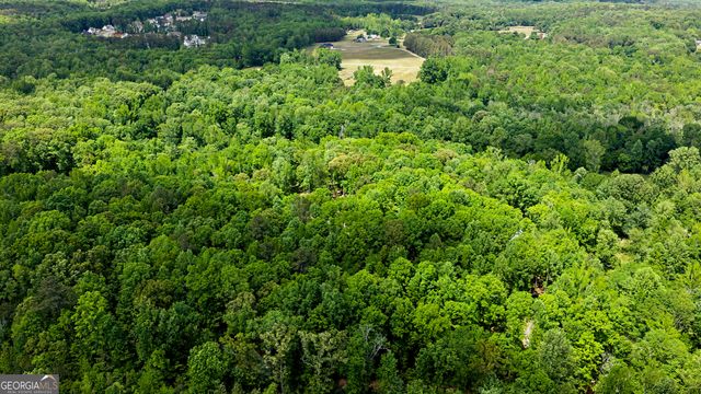 235 Buckeye Farms Drive, Moreland, GA 30259