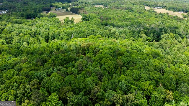 235 Buckeye Farms Drive, Moreland, GA 30259