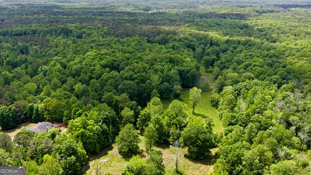 235 Buckeye Farms Drive, Moreland, GA 30259