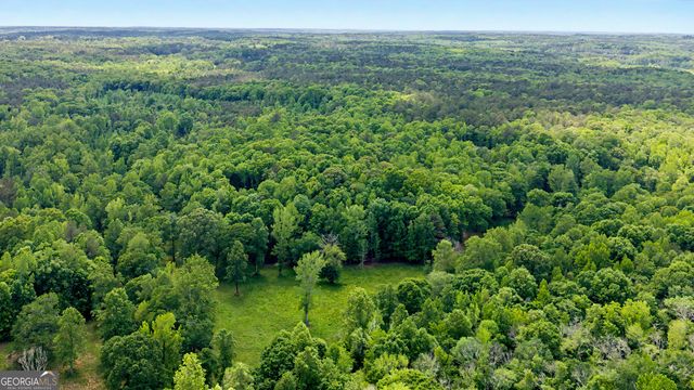 235 Buckeye Farms Drive, Moreland, GA 30259