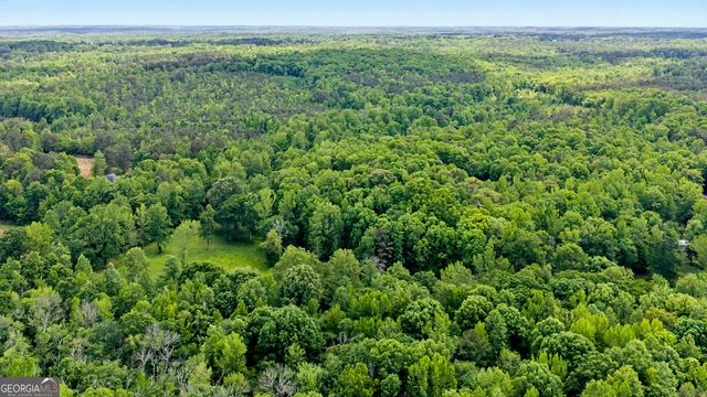 235 Buckeye Farms Drive, Moreland, GA 30259