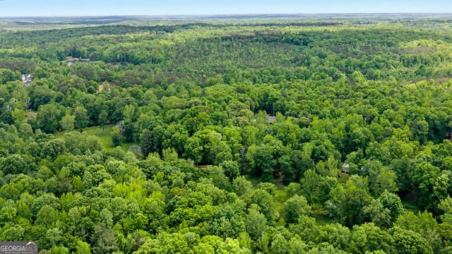 235 Buckeye Farms Drive, Moreland, GA 30259