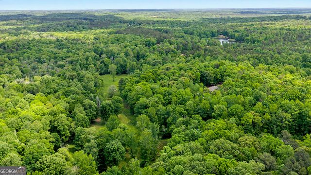 235 Buckeye Farms Drive, Moreland, GA 30259