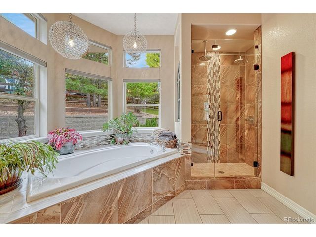 3205 Coyote Hills Ct, Castle Rock, CO 80109