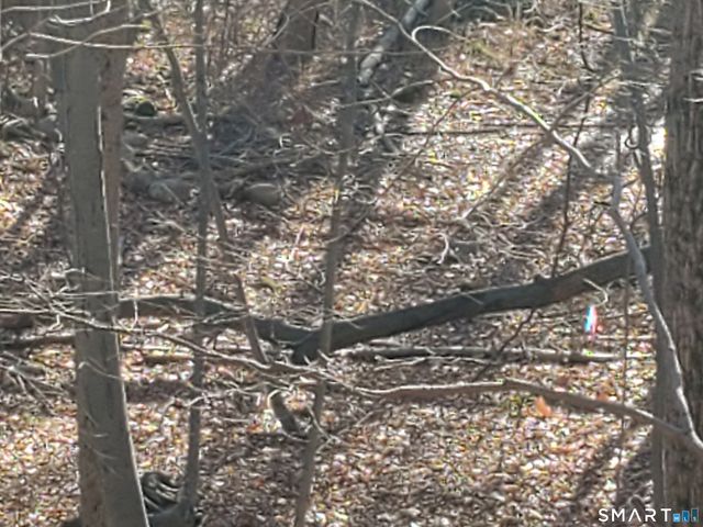 292 Deerfield Drive, Hamden, CT 06518