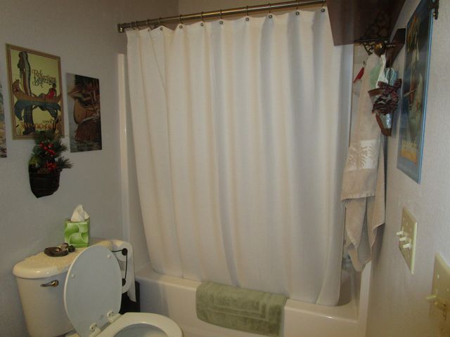 26424 Farm Road 1253, Golden, MO 65658