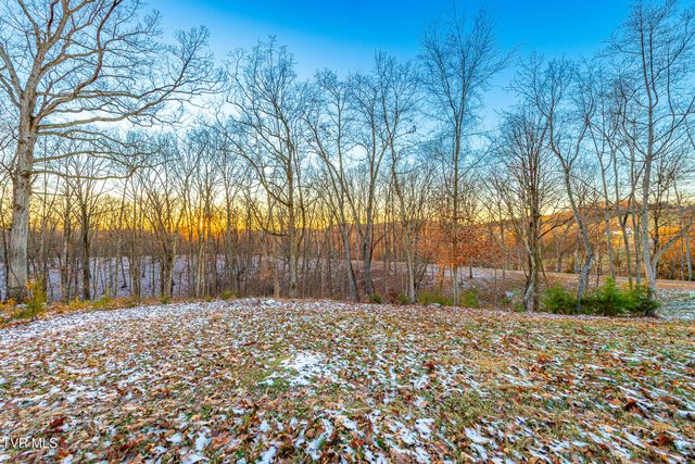 2294 Turkey Ridge Lane, Piney Flats, TN 37686