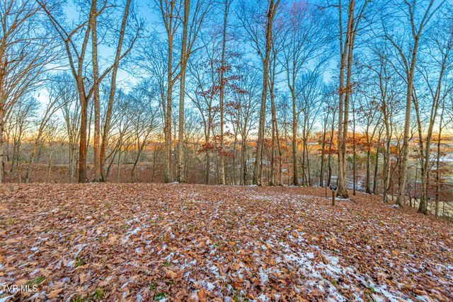 2294 Turkey Ridge Lane, Piney Flats, TN 37686