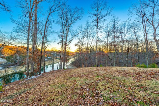 2294 Turkey Ridge Lane, Piney Flats, TN 37686